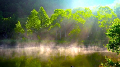 2k护眼雾气湖面森林