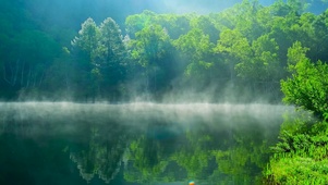 夏日绿林雾水湖面