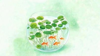 护眼小清新
