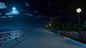 夜晚海边小路