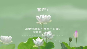 励志荷花