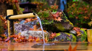 4K秋意竹筒泉水声