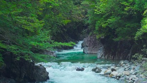 护眼绿林山涧