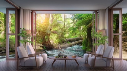 舒缓的雨林小溪