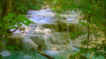 安静绿林溪水