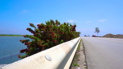 夏季公路海边唯美海风风景