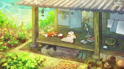 狗狗的闲暇时光