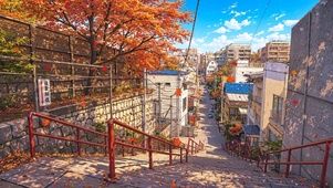 城市街道秋景
