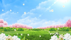 蓝天白云清新茉莉花动态唯美