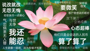 荷花不生气
