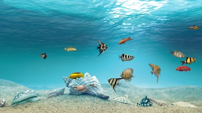 护眼海洋鱼儿游