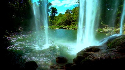高山流水觅知音4K