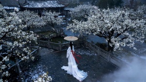 古风白裙国风女孩雪中等待夫君归