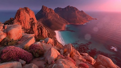 俯瞰鲜花岩石岛屿