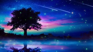 浪漫夜晚