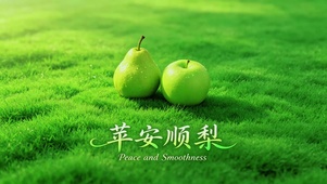 苹安顺梨