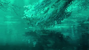 梦幻