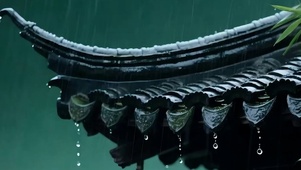 雨天树木带鱼屏