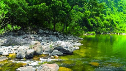护眼山间绿林溪水