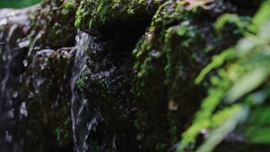 山水