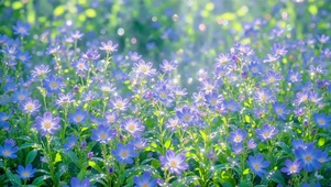 光斑下的蓝色花海