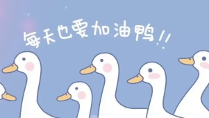 励志积极向上可爱鸭鸭壁纸
