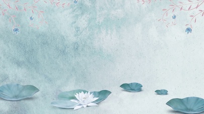 护眼荷塘白莲花