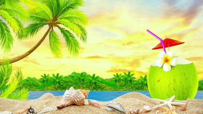 清新夏日海滩 4K