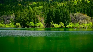 绿林山涧潭水