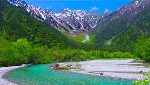 绿林小溪流水