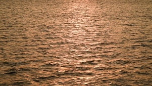 海浪波光粼粼