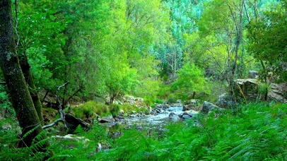 护眼山间小溪 4K