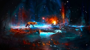 夜晚森林狐狸
