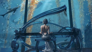 海琴