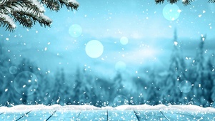 雪景