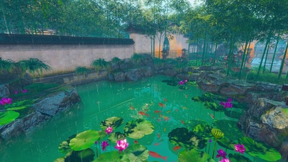 美丽的雨中庭院