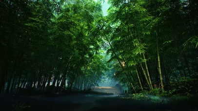 竹林风