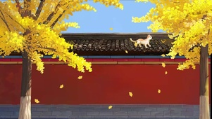 银杏叶与小猫