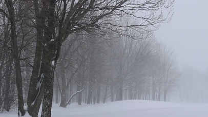 雪~花飘飘~~北风~萧萧~~