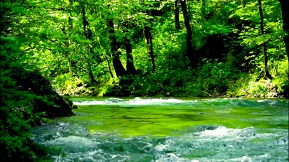 护眼夏日绿林流水