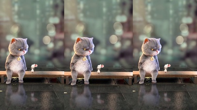 斑布猫-雨中吵架