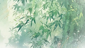 穿林打叶