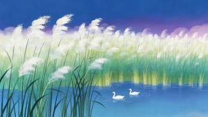 芦苇丛天鹅