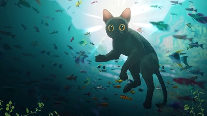 黑猫