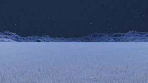 冬雪