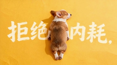 柯基拒绝内耗