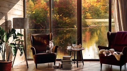 舒适的秋季湖景氛围