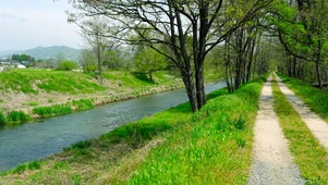 乡村溪边树林小路