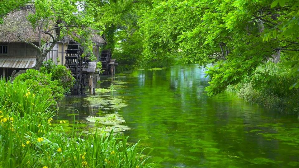 林间溪谷边的茅草水车小屋与两岸茂密鲜绿林木水景