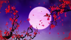 中秋节圆月